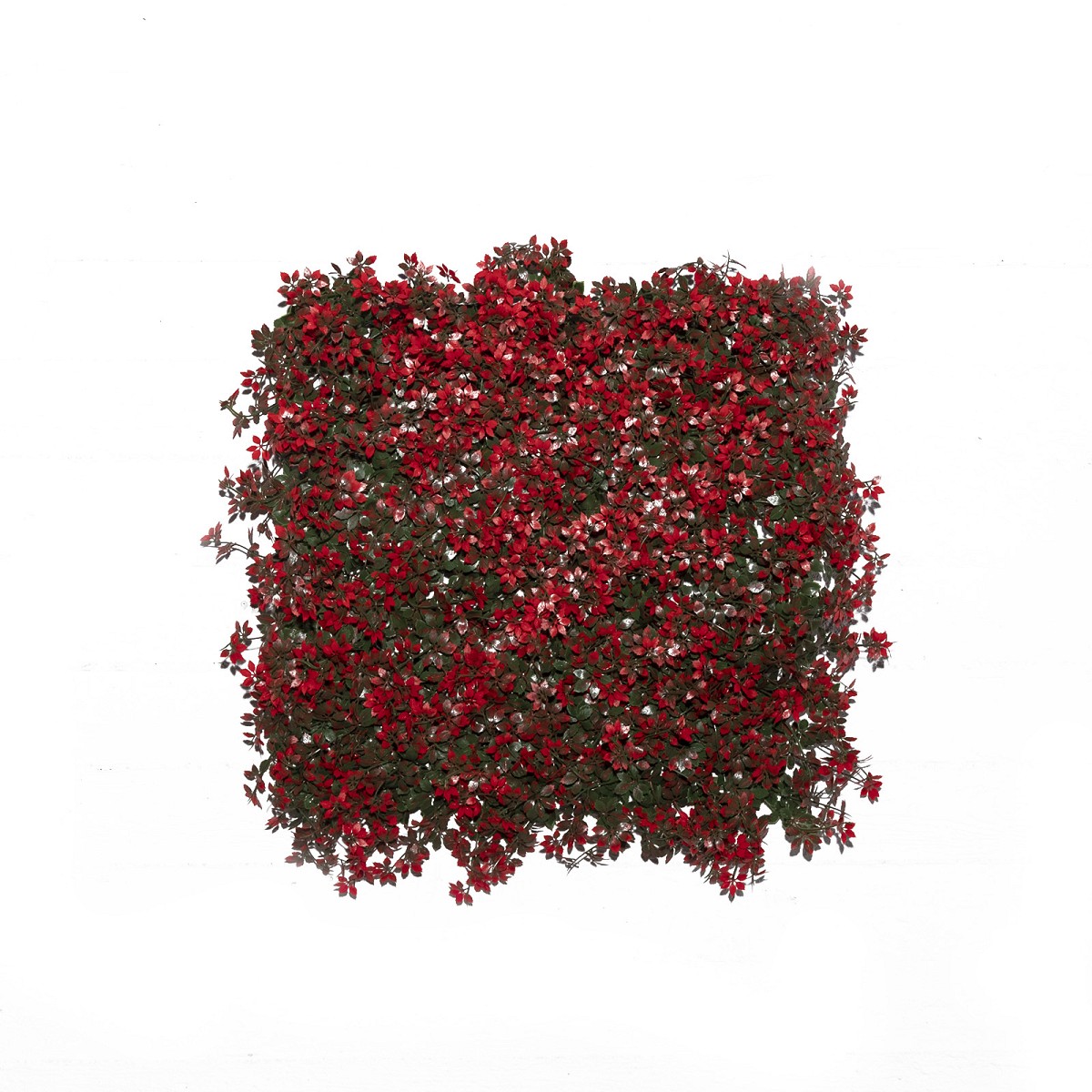 Supergreens Τεχνητή Φυλλωσιά Φτέρη \"Alpine\" Κόκκινη 50x50 εκ.