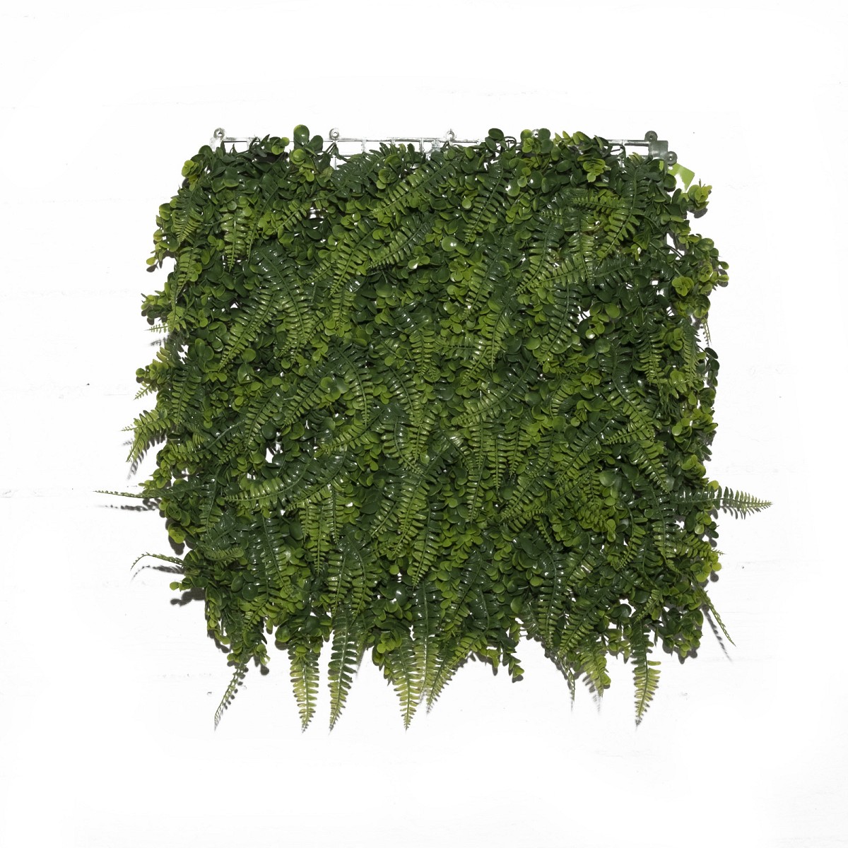 Supergreens Τεχνητή Φυλλωσιά Φτέρη \"Rabbit\'s Foot\" Πράσινη 50x50 εκ.