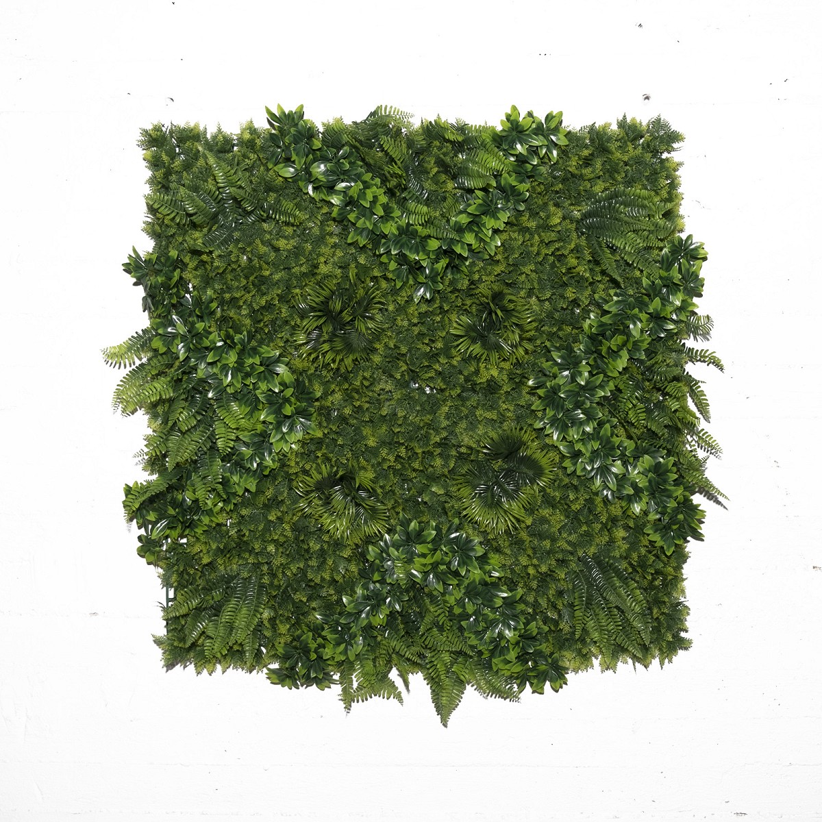 Supergreens Τεχνητή Φυλλωσιά Φτέρη με Φίκο \"Floris\" 100x100 εκ.