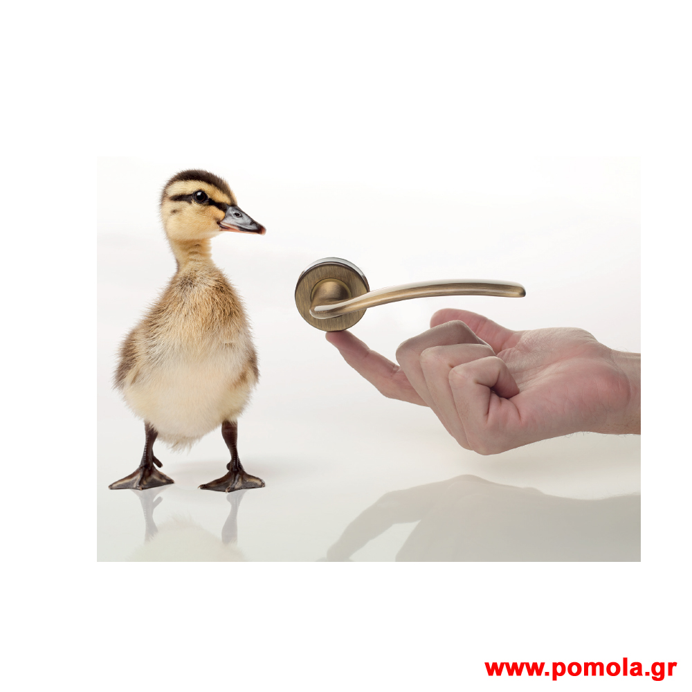 Πομολα Ιταλιας GOLD ενοτητα Basic A