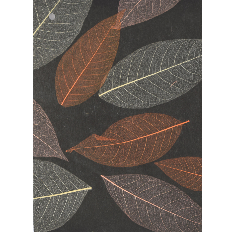 084 Βιβλιο ταπετσαριας ΦΥΣΙΚΑ ΥΛΙΚΑ artwl