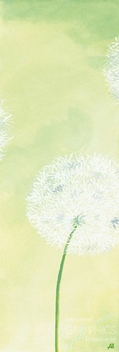 590 flowerscamvas