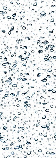 125 FototapetsariaEcoDor