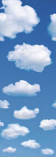 123 FototapetsariaEcoDor