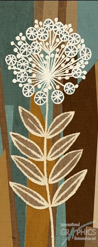 230 KamvasStillLife