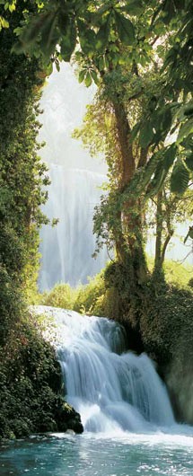 095 FototapetsariaEcoDor