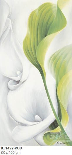 084 flowerscamvas
