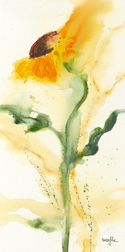 631 flowerscamvas