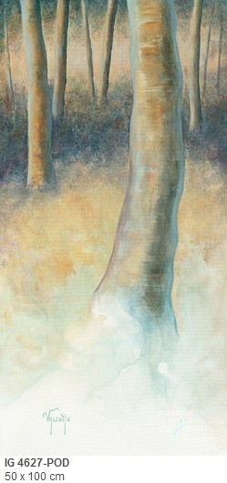 041 landscapes