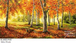 281 landscapes