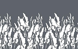 196 fototapetsaria