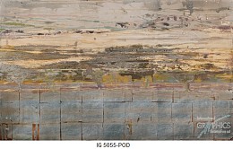 005 abstract