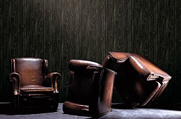 007 TapetsariaSimpatique