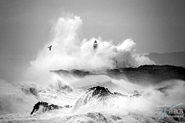 023 KamvasPhotography