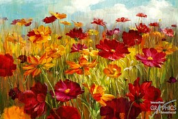 240 flowerscamvas