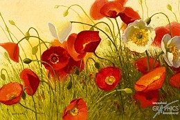 280 flowerscamvas