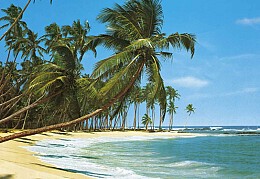 021 FototapetsariaEcoDor