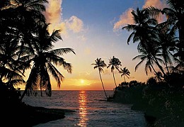 027 FototapetsariaEcoDor