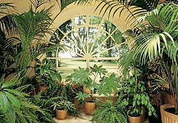 022 FototapetsariaEcoDor