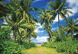 026 FototapetsariaEcoDor