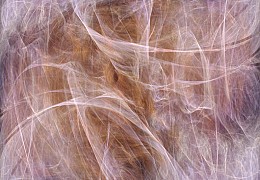 051 NationalGeographic