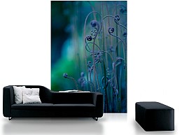 104 fototapetaria