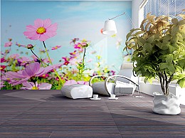 051 fototapetsaria imagination