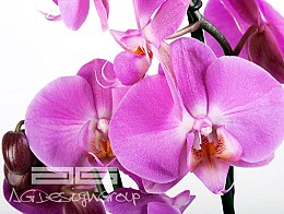 123 fototapetsaria imagination