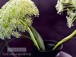 218 fototapetsaria imagination