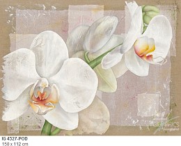 076 flowerscamvas