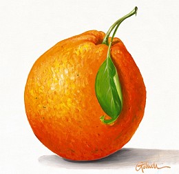 536 KamvasStillLife