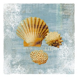 161 KamvasStillLife