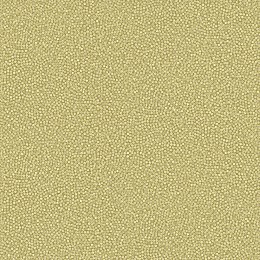 001 023VivlioTapetsariasKin