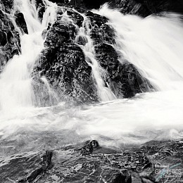 225 KamvasPhotography