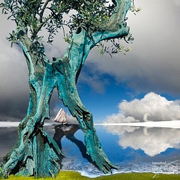 294 KamvasPhotography