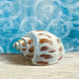148 KamvasStillLife