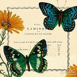 433 KamvasStillLife