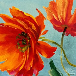 146 flowerscamvas