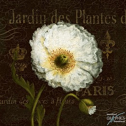153 flowerscamvas