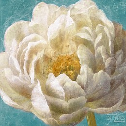 262 flowerscamvas