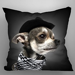 650 Μαξιλαρι