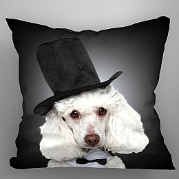 651 Μαξιλαρι