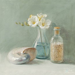 100 KamvasStillLife