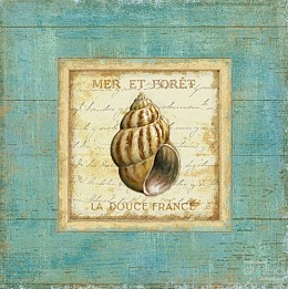 142 KamvasStillLife