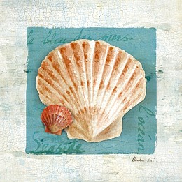 151 KamvasStillLife
