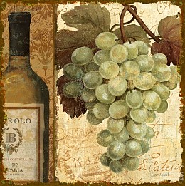 271 KamvasStillLife