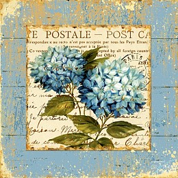 156 flowerscamvas