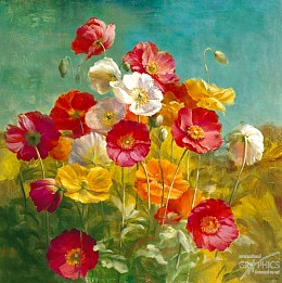 248 flowerscamvas