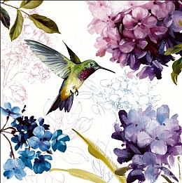 517 flowerscamvas