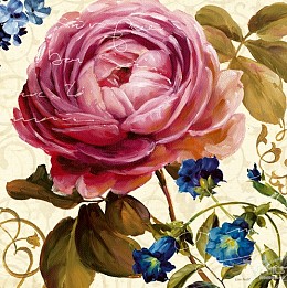 521 flowerscamvas